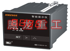 溫度表、數(shù)字顯示儀、濕度表